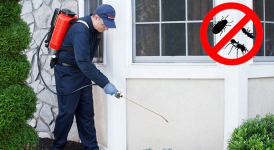 Sarıgöl Fare İlaçlama böcek ilaçlama ve haşere kontrolü — ilaclama-tr.com
